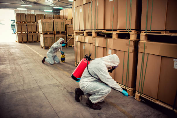 Best Exterminator Services  in Dry Ridge, KY