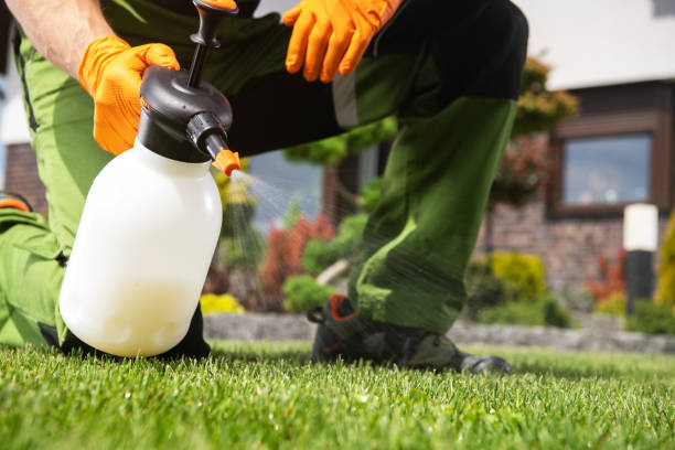 Best Mosquito Control Services  in Dry Ridge, KY