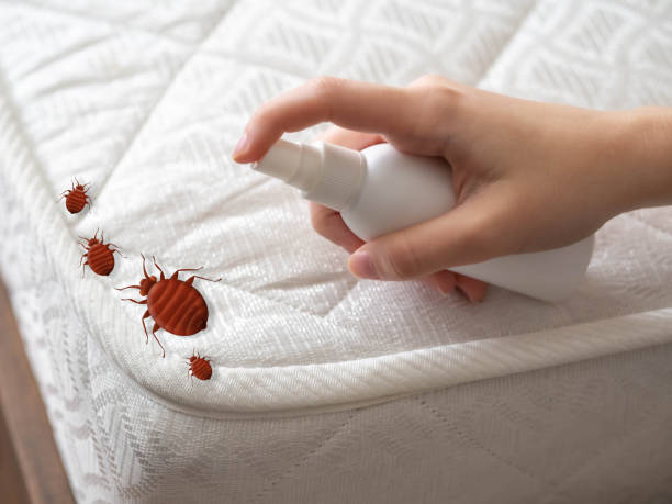 Best Pest Removal Services  in Dry Ridge, KY