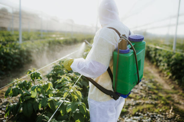 Best Best Pest Control Companies  in Dry Ridge, KY